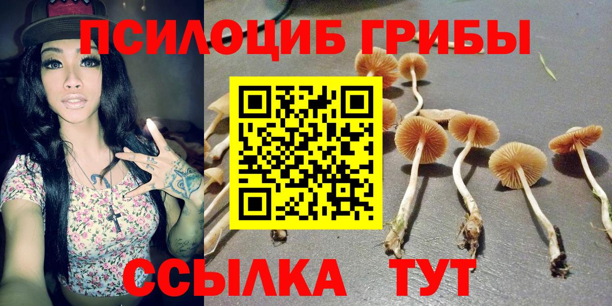 Псилоцибиновые грибы GOLDEN TEACHER  Вход с VPN  Галлюциногенные грибы Magic Shrooms  Кореновск 