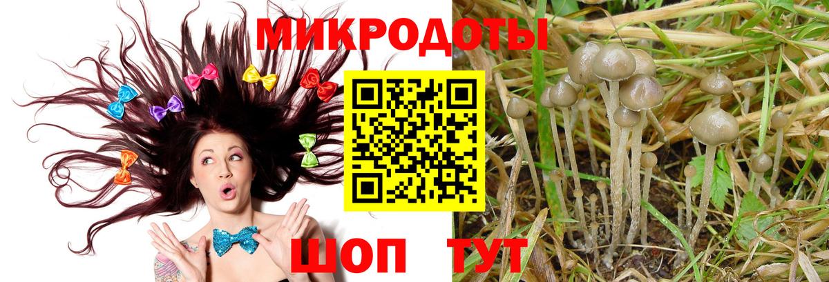 Галлюциногенные грибы GOLDEN TEACHER Кореновск